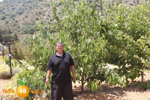 bayareq re7la shamal 0612 (57).JPG